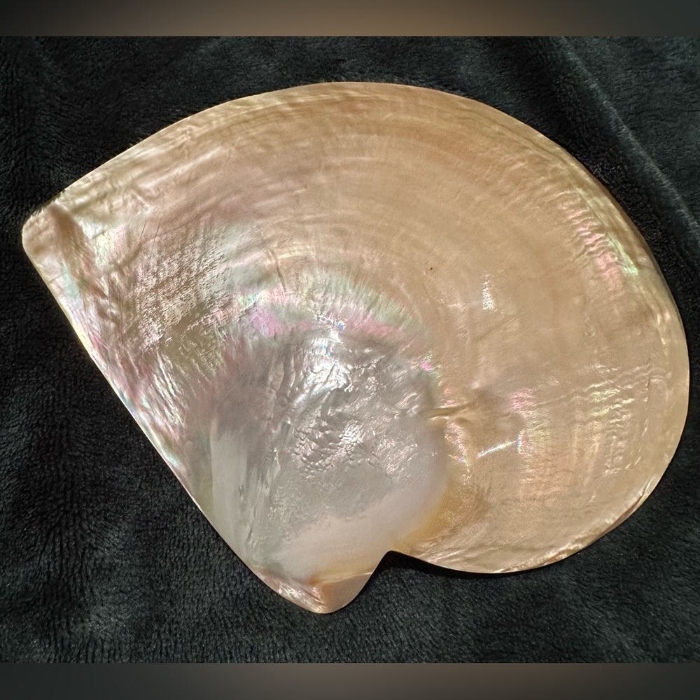 Mother of Pearl Caviar Dish